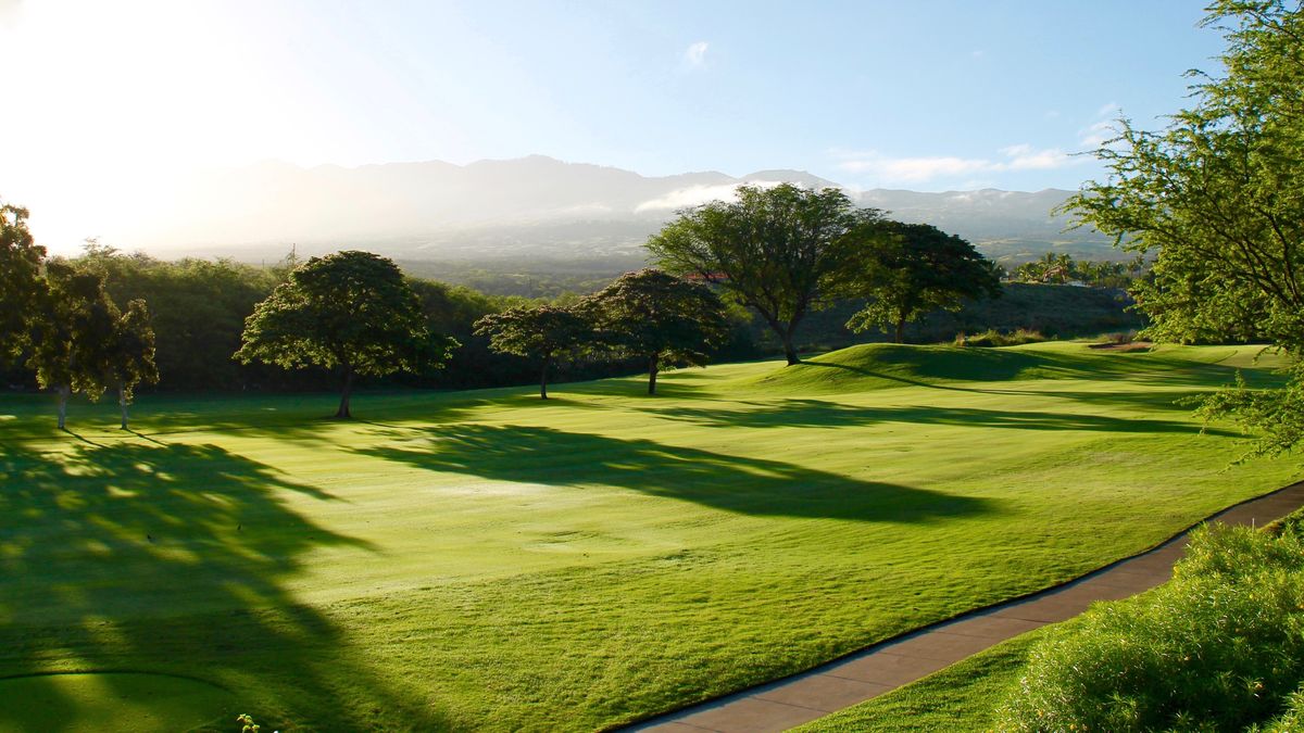 Sunlit golf course fairway at dawn